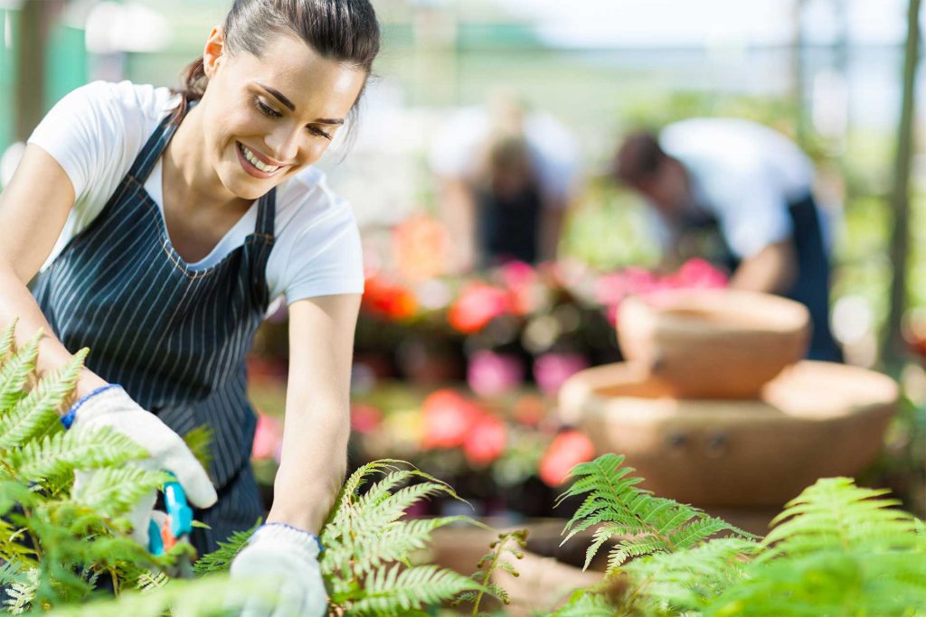 Best Pest Control Singapore