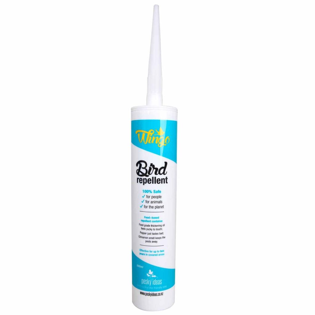 Best Pest Control Singapore