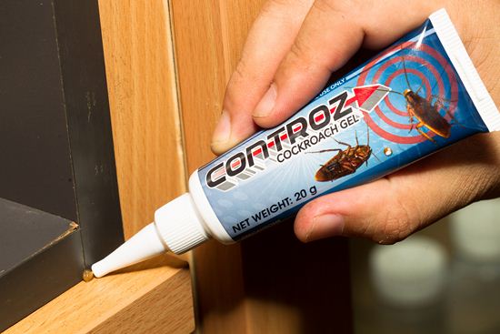 Shop Controz Cockroach Gel