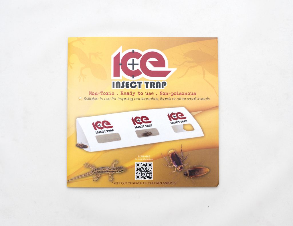 Best Pest Control Singapore