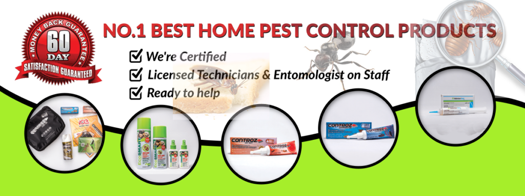 Best Pest Control Singapore