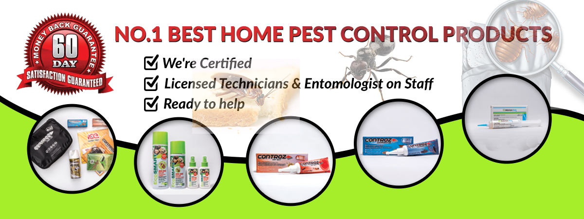 Best Home Pest Control Products in Singapore