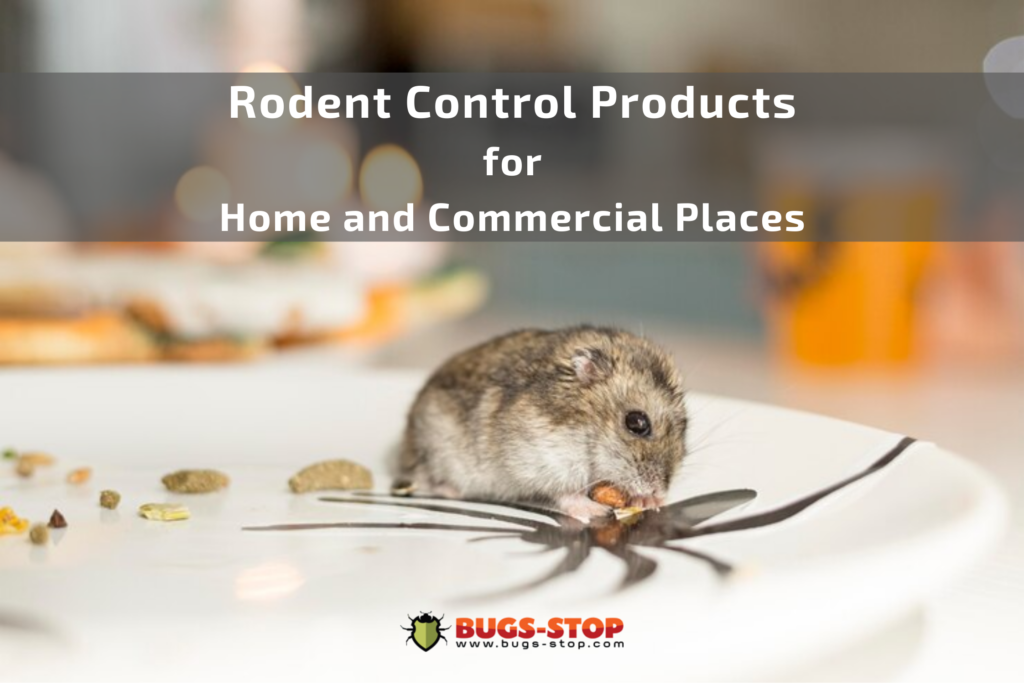 Rodent Control Products Singapore